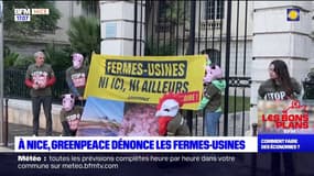 Nice: les militants de Greenpeace dénoncent l'élevage intensif dans les fermes-usines 