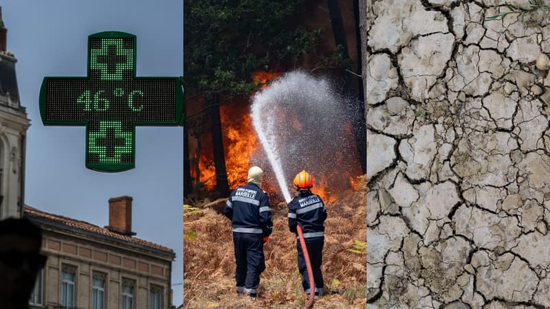 Chaleur, sécheresse, incendies... Les chiffres d'un mois de juillet de tous les records