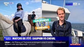 Balade à cheval ou sortie dauphins: les matchs de l'été des activités de vacances