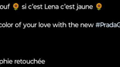 La description de la photo de Lena Situations