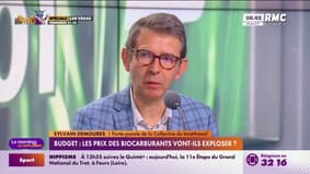 Budget : Les prix des biocarburants vont-ils exploser ? 
