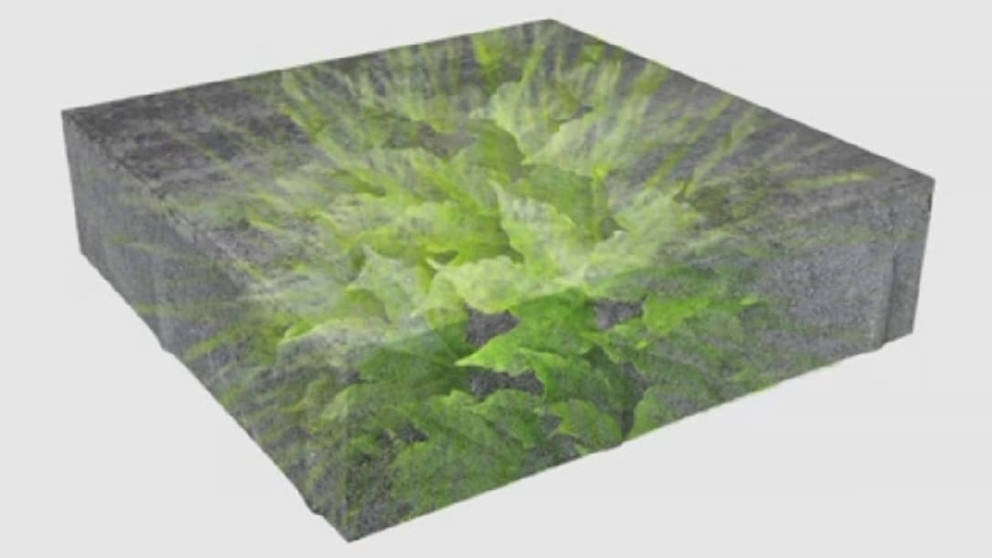 Le principe appliqué aux dalles "Ecorganic" est comparable à la photosynthèse des plantes. Le principe appliqué aux dalles "Ecorganic" est comparable à la photosynthèse des plantes.