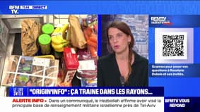 Où est passé le logo ? "Origin'info"qui permet de savoir d'où viennent les aliments transformés en rayon ? BFMTV répond à vos questions