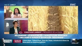 Agriculture: Christiane Lambert, présidente de la FNSEA, demande "des aides au transport et la gratuité des péages pour le transport de foin" 