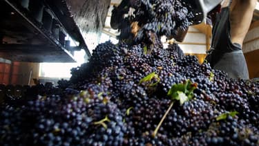 Le syndicat des vins Nature'l a établi sa charte avec les services du ministère de l’Agriculture, de l’Institut National de l’Origine et de la Qualité (INAO) et de la Répression des Fraudes.