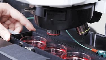 Pour renouer avec la compétitivité, il faut disposer d'entreprises misant sur la recherche.
