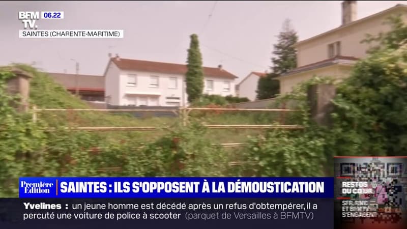 Saintes: une opération de démoustication annulée après la mobilisation de militants écologistes