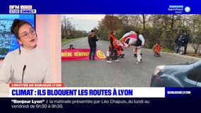 Climat: qui sont les militants qui bloquent les routes à Lyon?