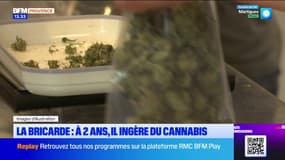 Un enfant de deux ans hospitalisé après avoir ingéré du cannabis