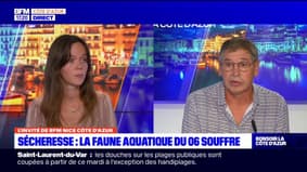 Sécheresse dans les Alpes-Maritimes: pour le président de la fédération de pêche et protection du milieu aquatique, la truite est en danger