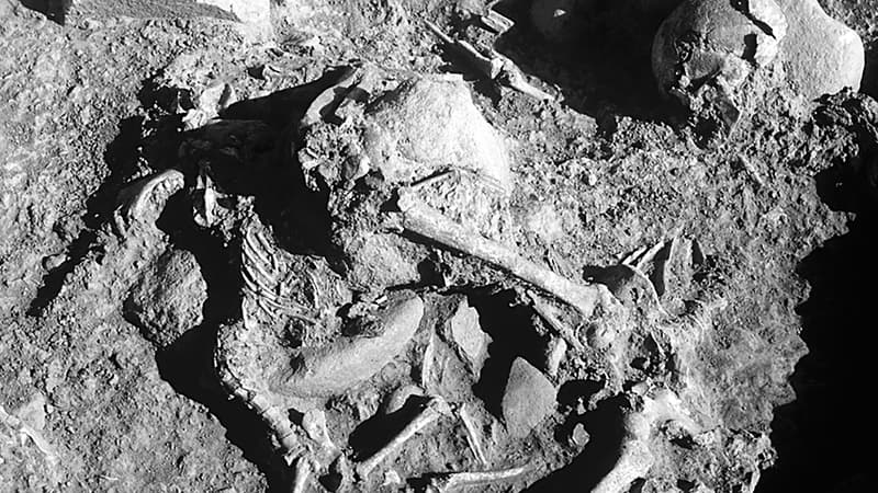 Des os retrouvés sur le site archéologique de Bobila Madurell près de  Barcelone,