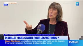 Attentat du 14 juillet: le statut des victimes étudié par la justice