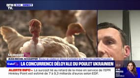 Poulets ukrainiens: "Ça déstabilise tout le marché et entraîne le prix de nos volailles à la baisse", déplore Jean-Michel Schaeffer (président de la filière des Volailles Françaises)