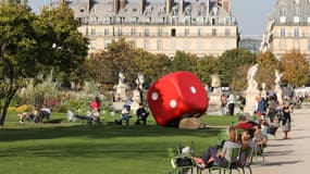 Le jardin des Tuileries ensoleillé à Paris le 16 octobre 2017. (Photo d'illustration)