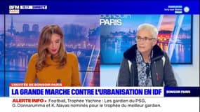 Île-de-France: l'association Urgence Saclay dénonce "un modèle d'urbanisation sans limites"