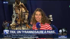 Trix, un tyrannosaure à Paris