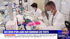Coronavirus: comment sont fabriqués les tests de dépistage sérologiques ?