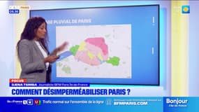 Intempéries à Paris: comment désimperméabiliser la ville?