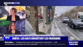 Déchets à Paris: selon Anne Souyris, la mairie de Paris peut faire appel à des sociétés privés "à la marge mais pas totalement"
