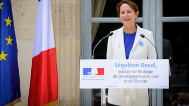 L'enseigne Leclerc utilise une photo de la ministre prise en 1996 pour communiquer sur l'interdiction de la distribution des sacs plastiques. (image d'illustration)