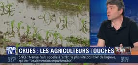 Inondations: tout le secteur agricole en Île-de-France touché