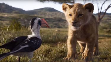 Le Roi Lion