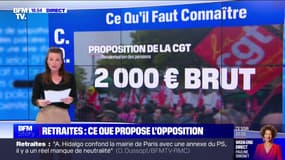 Retraites: ce que proposent les opposants à la réforme