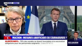 Gilbert Collard (RN): "Ceux qui ne veulent pas se faire vacciner (...) devraient en avoir le droit sans subir de pression"