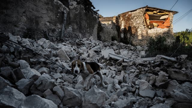Un séisme de magnitude 5,4 sur l'échelle de Richter, qui n'a duré que quelques secondes le 11 novembre à la mi-journée, a provoqué de nombreux dégâts en particulier au Teil.