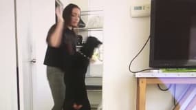 Cette youtubeuse américaine publie (par erreur) une vidéo où elle bat son chien 