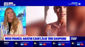 En étant élue première dauphine Miss France, Agathe Cauet, pourrait participer aux concours internationaux Miss Univers ou Miss Monde