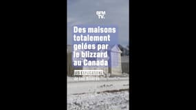 Canada: les images de maisons totalement gelées par le blizzard sur les bords du lac Érié