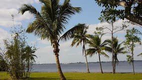 Vue de la rive du Caloosahatchee