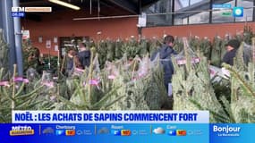 Le journal de 8h du lundi 1er décembre 2025