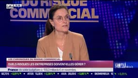  Les Chroniques du risque commercial : Quels risques les entreprises doivent-elles gérer ? - Lundi 16 janvier
