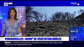 Porquerolles: 400m2 de végétation brûlés