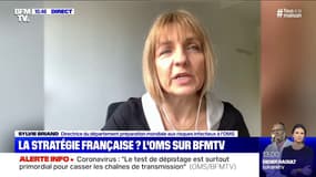 Coronavirus: pour Sylvie Briand (OMS), "l'important est de pouvoir confirmer l'efficacité d'un traitement" 