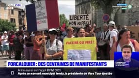 Forcalquier: plusieurs centaines de manifestants contre le pass sanitaire