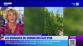 Dans votre assiette du jeudi 10 octobre - Les grenades du verger des îles d'Or