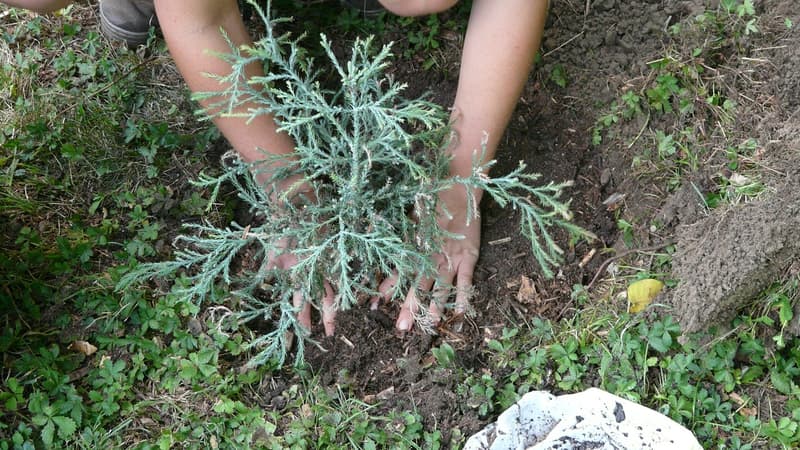 Jardiniers amateurs et professionnels, les produits SELVERT s'adresse à toutes les mains vertes.