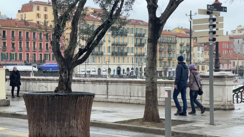 Des signalements font état d'odeurs de soufre dans plusieurs quartiers à l'est de Nice.