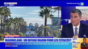 Marineland: "un gâchis à la française" pour le député LR Eric Pauget