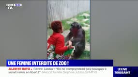 Trop proche d'un chimpanzé, une femme interdite de zoo à Anvers