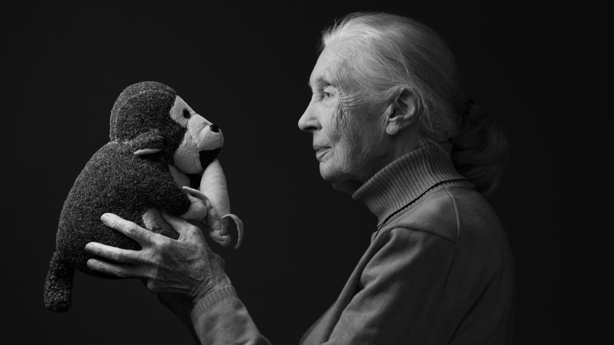 OBAMA, DICAPRIO, JANE FONDA... DE NOMBREUSES PERSONNALITÉS PLEURENT LA PRIMATOLOGUE JANE GOODALL