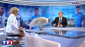 Zapping TV : Jean-Pierre Pernaut présente son JT de TF1 avec un coq