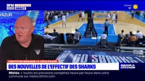 Recrutement de joueurs: Les Sharks d'Antibes s'en occupent "depuis deux, trois mois", affirme Daniel Goethals