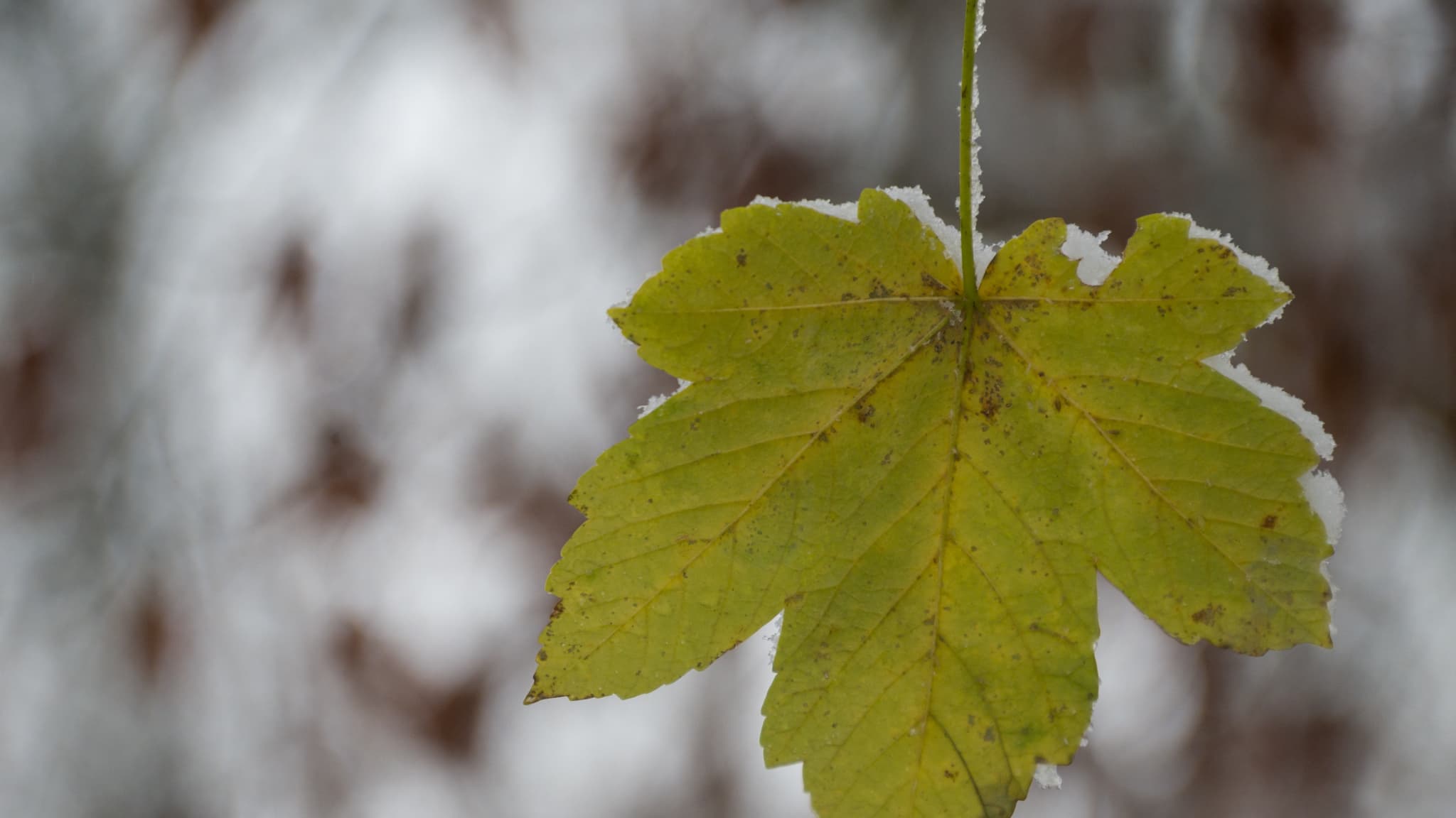 how to explain the sudden drop in temperatures this week?