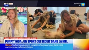Tous terrains du lundi 3 mars - MEL : pratiquer le yoga avec des chiots 