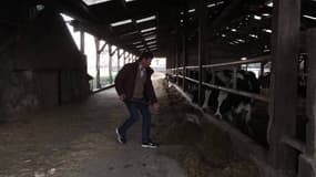 Toujours plus d'exploitations agricoles en faillite: "Parfois, on pense au pire"
