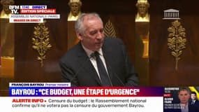 Ukraine, Gaza, Trump… François Bayrou évoque des "tsunamis irrésistibles qui s'avancent" à la tribune de l'Assemblée nationale 